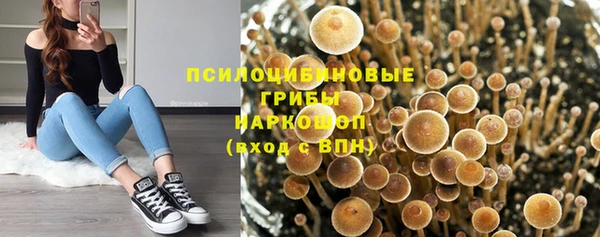 соль курить ск Балахна
