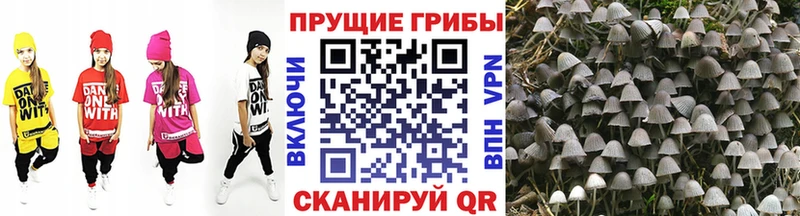 Псилоцибиновые грибы MAGIC MUSHROOMS Заполярный