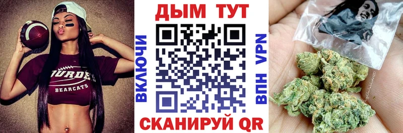 Каннабис конопля  Заполярный 